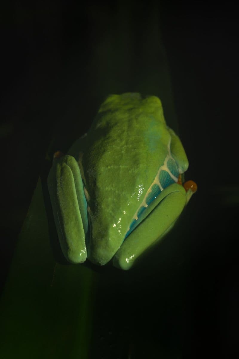 Soccer Program Costa Rica