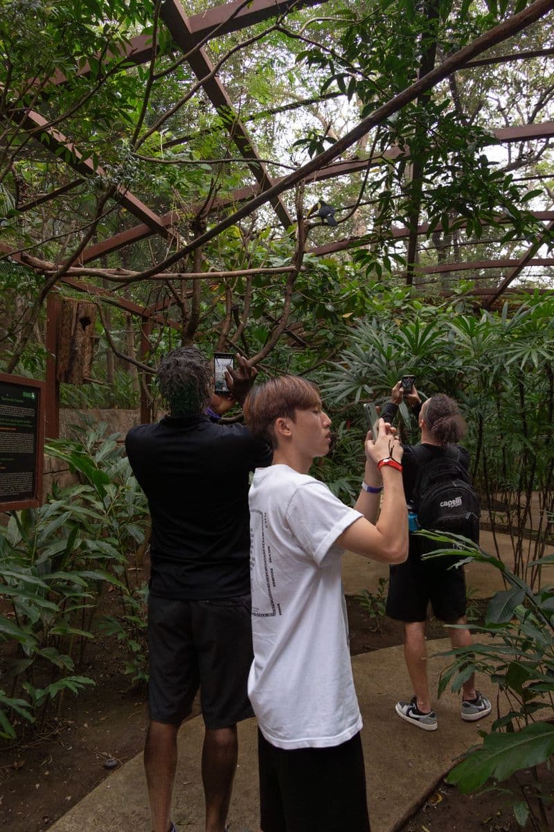 Soccer Program Costa Rica